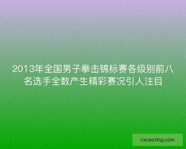 2013年全国男子拳击锦标赛各级别前八名选手全数产生精彩赛况引人注目